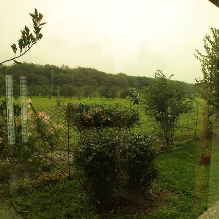 Countryside B&B 루이수이 객실 사진